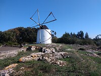 IMG_20221012_125643554