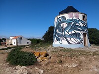 IMG_20221012_125931936
