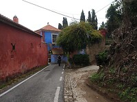 IMG_20221013_124500794