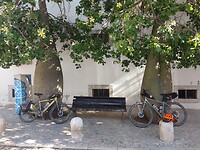 IMG_20221014_110755882
