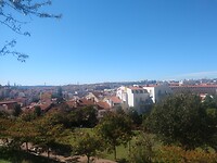 IMG_20221015_132819656