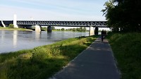 Europäische Wasserstraszenkreuz