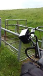 Pestilente hekjes