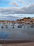 Harbour paignton