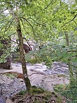River Dart