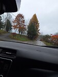 Regen en toch een herfstkleurtje