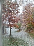 Het sneeuwt