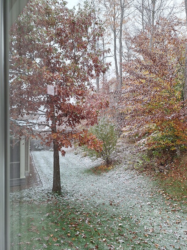 Het sneeuwt