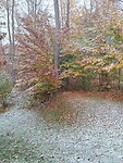 Sneeuw