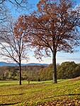 White mountains