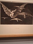 Goya spoken