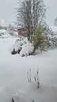 Sneeuw