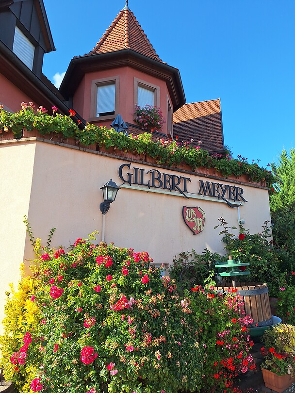 Weingut