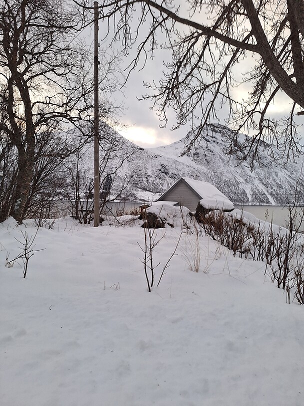 Winter