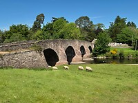 Prachtige brug