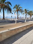 Mediterrané