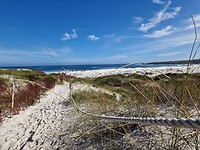 Door de duinen