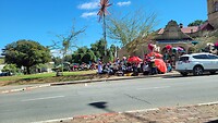 De 'plumeau-dames' in Oudtshoorn