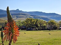 Laatste ochtend Alpine Heath Resort