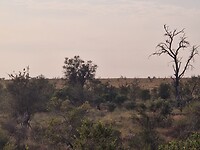 Zoekplaatje
