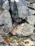 IMG_20200108_213553