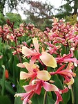 IMG_20200125_113820