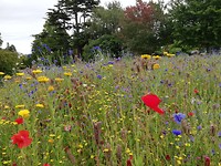 IMG_20200125_113047
