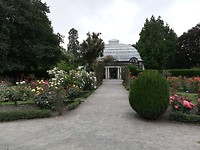IMG_20200125_112650