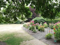 IMG_20200125_112526