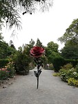 IMG_20200125_112512