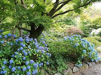 IMG_20200125_112248