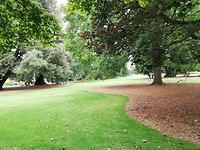 IMG_20200125_112236