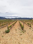IMG_20190510_152356