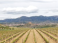 IMG_20190510_152108