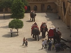 Op de olifant naar boven