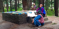 Vrouwen bij een stenen Mandala in een dennenbos bij Manali
