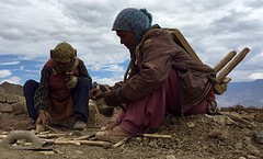 Tibetaanse vrouwen aan het werk op het paleisdak