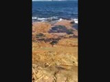 Rotswandeling in Cronulla 9