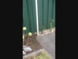 Mijn nieuwe tuin