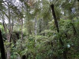 DSC00199