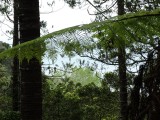 DSC00203