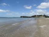 DSC00250