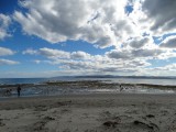 DSC00614