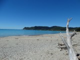 DSC00652