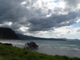 DSC00718