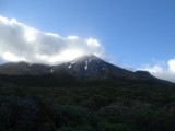 DSC02309