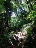 DSC02323