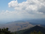 DSC02343