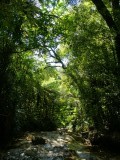 DSC02358