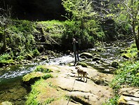 wandeling en picknick Mullertal
